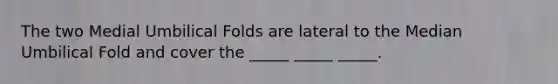 The two Medial Umbilical Folds are lateral to the Median Umbilical Fold and cover the _____ _____ _____.