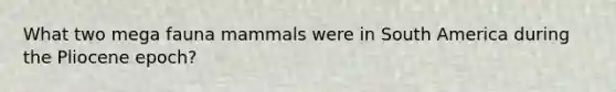 What two mega fauna mammals were in South America during the Pliocene epoch?