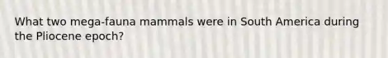 What two mega-fauna mammals were in South America during the Pliocene epoch?