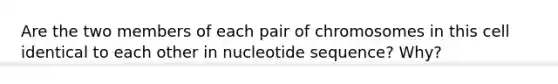 Are the two members of each pair of chromosomes in this cell identical to each other in nucleotide sequence? Why?