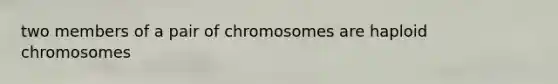 two members of a pair of chromosomes are haploid chromosomes