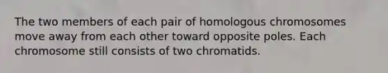 The two members of each pair of homologous chromosomes move away from each other toward opposite poles. Each chromosome still consists of two chromatids.