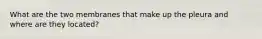 What are the two membranes that make up the pleura and where are they located?