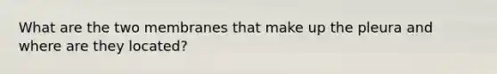 What are the two membranes that make up the pleura and where are they located?