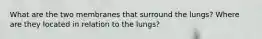 What are the two membranes that surround the lungs? Where are they located in relation to the lungs?