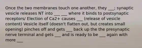 Once the two membranes touch one another, they ___; synaptic vesicle releases NT into ___ ___ where it binds to postsynaptic receptors/ Election of Ca2+ causes ___ (release of vesicle content) Vesicle itself (doesn't flatten out, but creates small opening) pinches off and gets ___ back up the the presynaptic nerve terminal and gets ___ and is ready to be ___ again with more ___