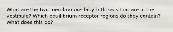 What are the two membranous labyrinth sacs that are in the vestibule? Which equilibrium receptor regions do they contain? What does this do?