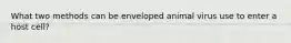What two methods can be enveloped animal virus use to enter a host cell?