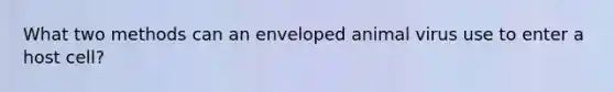 What two methods can an enveloped animal virus use to enter a host cell?