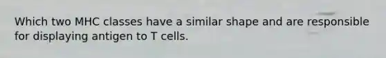 Which two MHC classes have a similar shape and are responsible for displaying antigen to T cells.