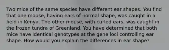 Two mice of the same species have different ear shapes. You find that one mouse, having ears of normal shape, was caught in a field in Kenya. The other mouse, with curled ears, was caught in the frozen tundra of Greenland. You have determined that both mice have identical genotypes at the gene loci controlling ear shape. How would you explain the differences in ear shape?