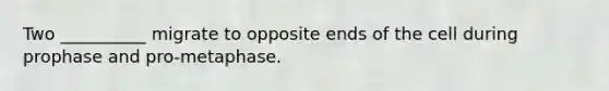 Two __________ migrate to opposite ends of the cell during prophase and pro-metaphase.