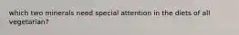 which two minerals need special attention in the diets of all vegetarian?