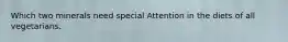Which two minerals need special Attention in the diets of all vegetarians.
