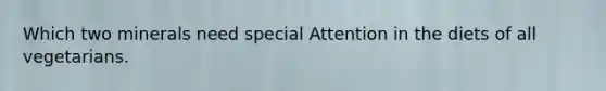 Which two minerals need special Attention in the diets of all vegetarians.