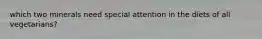 which two minerals need special attention in the diets of all vegetarians?