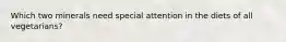 Which two minerals need special attention in the diets of all vegetarians?