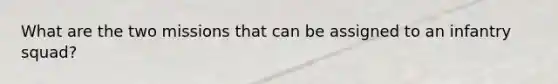 What are the two missions that can be assigned to an infantry squad?