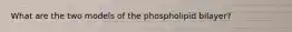 What are the two models of the phospholipid bilayer?