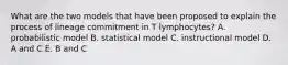 What are the two models that have been proposed to explain the process of lineage commitment in T lymphocytes? A. probabilistic model B. statistical model C. instructional model D. A and C E. B and C