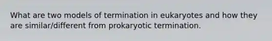 What are two models of termination in eukaryotes and how they are similar/different from prokaryotic termination.