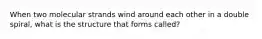 When two molecular strands wind around each other in a double spiral, what is the structure that forms called?