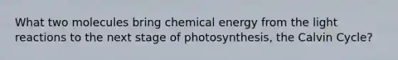 What two molecules bring chemical energy from the light reactions to the next stage of photosynthesis, the Calvin Cycle?