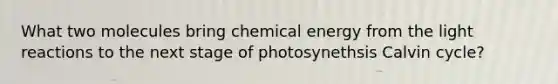 What two molecules bring chemical energy from the light reactions to the next stage of photosynethsis Calvin cycle?