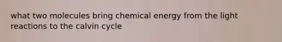 what two molecules bring chemical energy from the light reactions to the calvin cycle