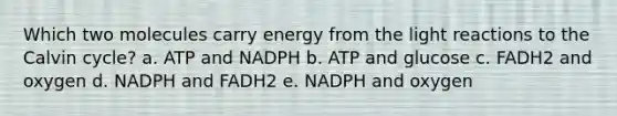 Which two molecules carry energy from the light reactions to the Calvin cycle? a. ATP and NADPH b. ATP and glucose c. FADH2 and oxygen d. NADPH and FADH2 e. NADPH and oxygen