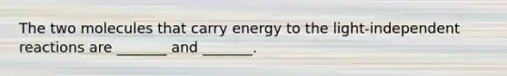 The two molecules that carry energy to the light-independent reactions are _______ and _______.