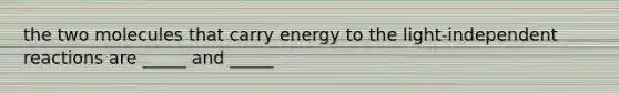 the two molecules that carry energy to the light-independent reactions are _____ and _____