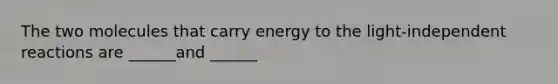 The two molecules that carry energy to the light-independent reactions are ______and ______