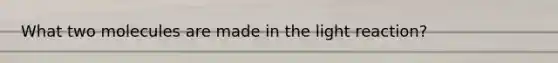 What two molecules are made in the light reaction?
