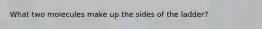 What two molecules make up the sides of the ladder?