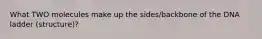 What TWO molecules make up the sides/backbone of the DNA ladder (structure)?