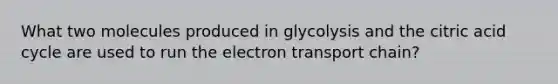 What two molecules produced in glycolysis and the citric acid cycle are used to run the electron transport chain?