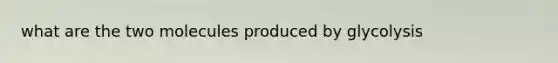 what are the two molecules produced by glycolysis