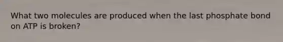 What two molecules are produced when the last phosphate bond on ATP is broken?