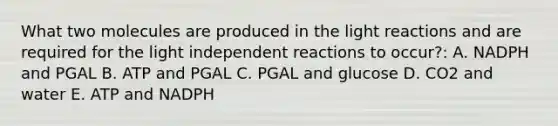 What two molecules are produced in the light reactions and are required for the light independent reactions to occur?: A. NADPH and PGAL B. ATP and PGAL C. PGAL and glucose D. CO2 and water E. ATP and NADPH