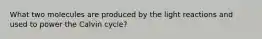 What two molecules are produced by the light reactions and used to power the Calvin cycle?