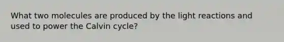 What two molecules are produced by the <a href='https://www.questionai.com/knowledge/kSUoWrrvoC-light-reactions' class='anchor-knowledge'>light reactions</a> and used to power the Calvin cycle?