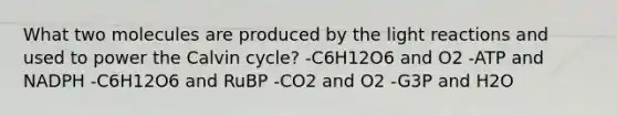 What two molecules are produced by the light reactions and used to power the Calvin cycle? -C6H12O6 and O2 -ATP and NADPH -C6H12O6 and RuBP -CO2 and O2 -G3P and H2O