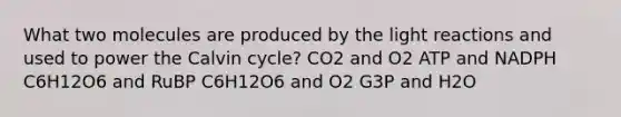 What two molecules are produced by the <a href='https://www.questionai.com/knowledge/kSUoWrrvoC-light-reactions' class='anchor-knowledge'>light reactions</a> and used to power the Calvin cycle? CO2 and O2 ATP and NADPH C6H12O6 and RuBP C6H12O6 and O2 G3P and H2O