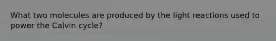 What two molecules are produced by the light reactions used to power the Calvin cycle?