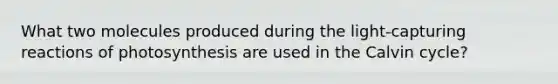 What two molecules produced during the light-capturing reactions of photosynthesis are used in the Calvin cycle?