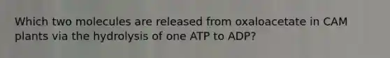 Which two molecules are released from oxaloacetate in CAM plants via the hydrolysis of one ATP to ADP?