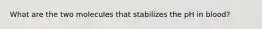 What are the two molecules that stabilizes the pH in blood?