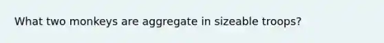 What two monkeys are aggregate in sizeable troops?