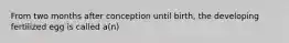 From two months after conception until birth, the developing fertilized egg is called a(n)